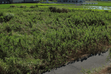 和歌山県土地