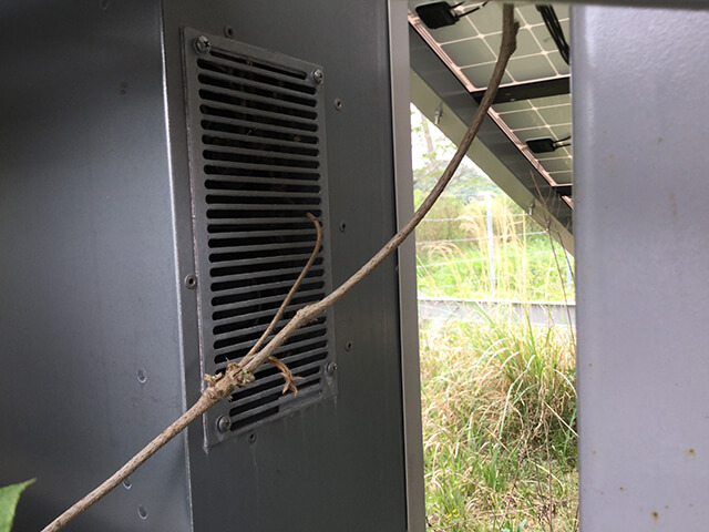 太陽光発電の草対策について詳しく解説