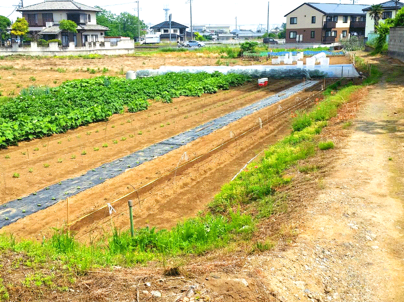 【21円】低圧45.5kW ローン可能 年収入約117万円 群馬県藤岡市