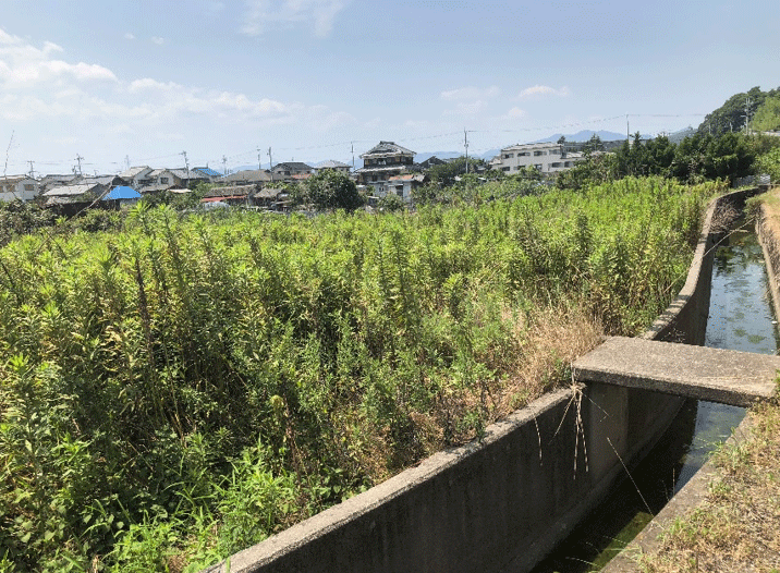 【18円】過積載111.6kW 現金決済のみ 年収入約229万円 兵庫県赤穂市 現地写真