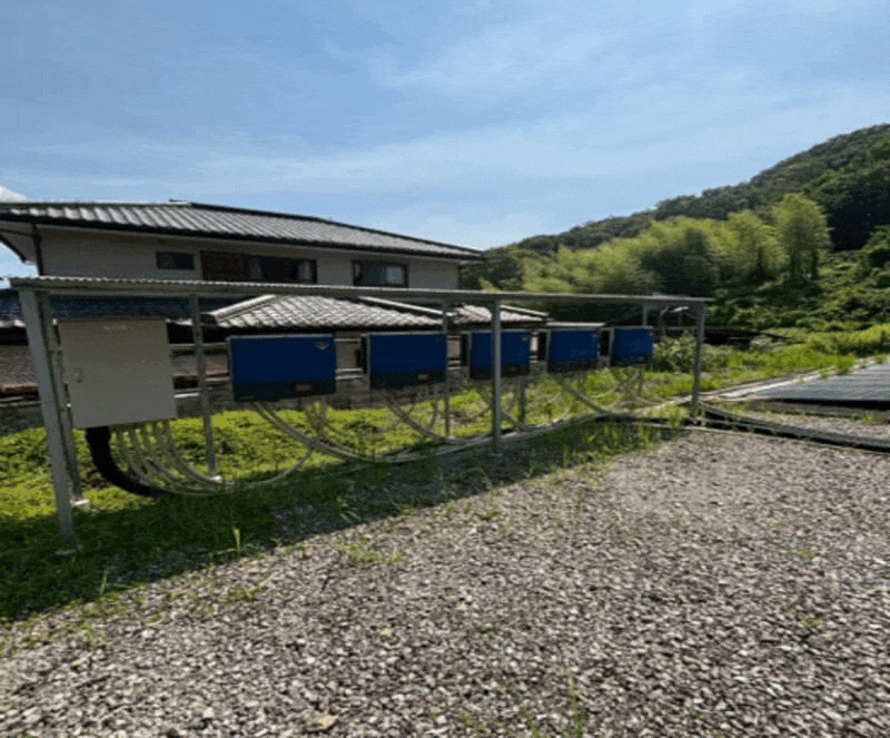 【中古32円】高圧343.2kW 限定1区画 年収入約1,043万円 徳島県美馬市【2489】 現地写真