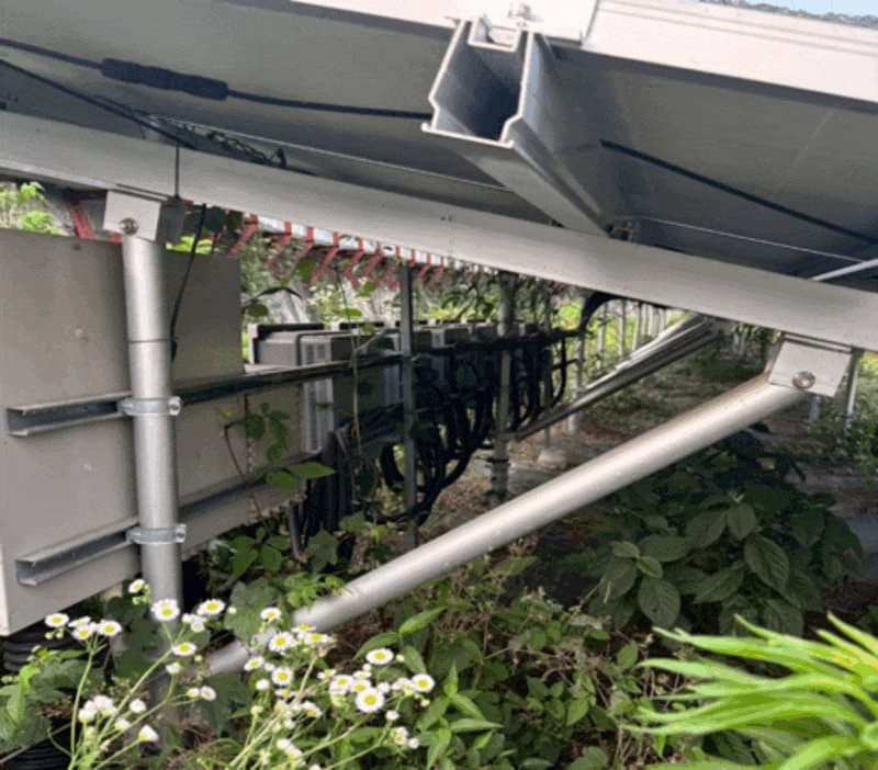 【中古18円】過積載61.6kW 限定1区画 年収入約131万円 岡山県高梁市【2455-3】 現地写真