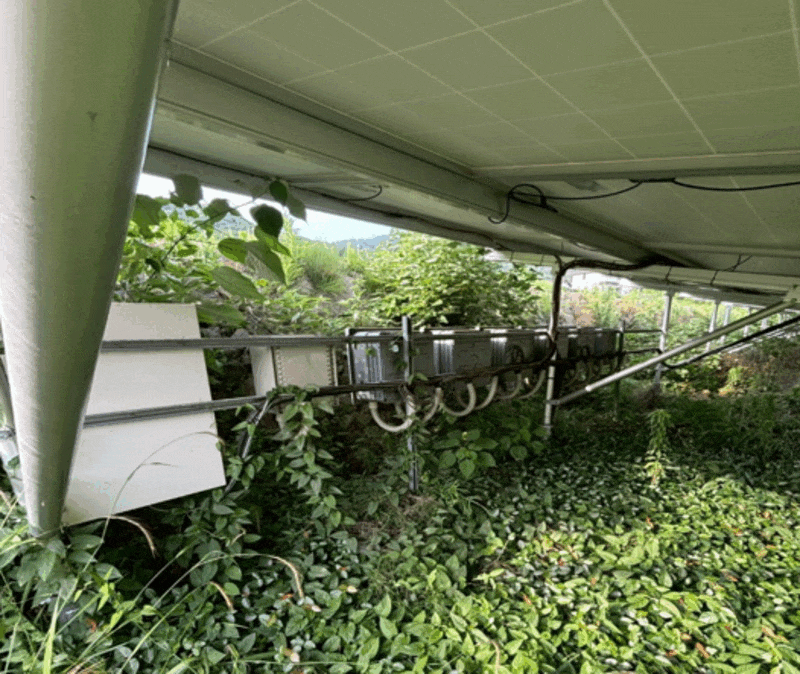 【中古18円】低圧52.8kW　限定1区画　年収入約118万円　岡山県高梁市【2455-1】　現地写真