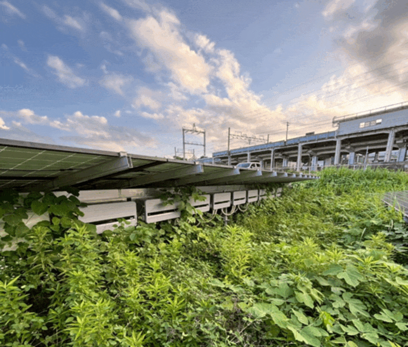 【中古21円】過積載88kW　出力抑制なし　年収入約181万円　岐阜県岐阜市　現地写真