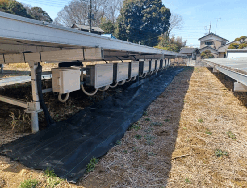 【中古24円】パネル総容量108.54kW　ローン利用可能　年収入約244万円　茨城県稲敷市【2341-2】　現地写真