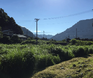 【21円】低圧46.8kW イオン・オリコ・アプラス可能 和歌山県海草郡土地付き分譲太陽光発電物件