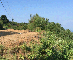 【36円】過積載76.32kw 利回り12% 長崎県長崎市土地付き分譲太陽光発電物件