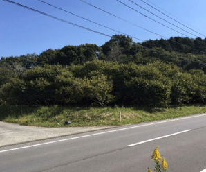 【36円】過積載76.32kw 利回り12% 長崎県長崎市土地付き分譲太陽光発電物件