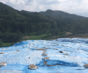 【55円/24円】ハイブリッド案件 低圧風力19.6kW・太陽光92.34kW 青森県上北郡土地付き分譲太陽光発電物件