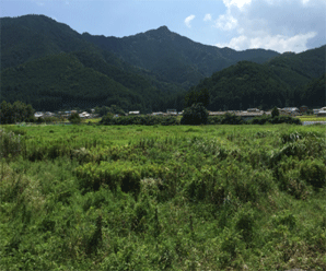 【18円】過積載81kW ローン可能 出力抑制なし 三重県鈴鹿市土地付き分譲太陽光発電物件