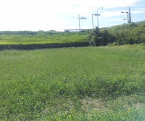 【21円】低圧46.8kW イオン・オリコ・アプラス可能 和歌山県海草郡土地付き分譲太陽光発電物件