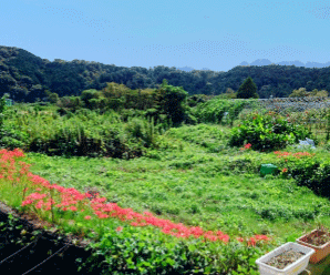 【18円】過積載81kW ローン可能 出力抑制なし 三重県鈴鹿市土地付き分譲太陽光発電物件