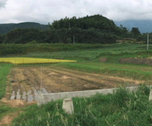 【36円】低圧49.6kw 残り2区画販売 茨城県かすみがうら市土地付き分譲太陽光発電物件