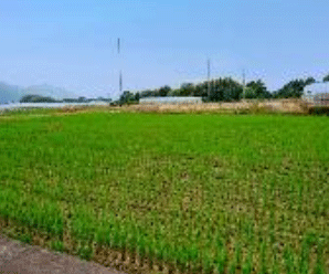 【18円】過積載86.4kW ローン可能 日当たり抜群 三重県津市土地付き分譲太陽光発電物件