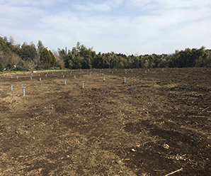 【36円】低圧54.0kw 3区画販売 千葉県印旛郡酒々井町土地付き分譲太陽光発電物件