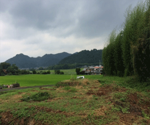 【21円】過積載91kW アプラス紹介可能 千葉県旭市岩井土地付き分譲太陽光発電物件