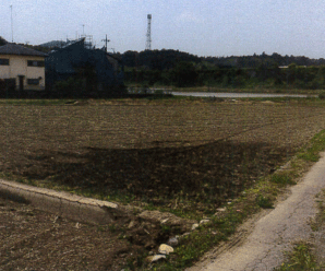 【27円】低圧58.56kw ローン可 限定1区画 茨城県行方市土地付き分譲太陽光発電物件