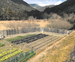 【24円】過積載68kw 出力抑制なし 和歌山県西牟婁郡土地付き分譲太陽光発電物件