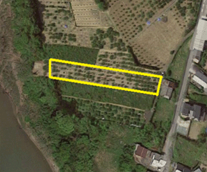 【21円】過積載86.4kW ローン紹介可能 日当たり抜群 和歌山県海草郡土地付き分譲太陽光発電物件