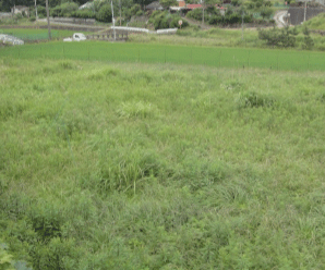 【21円】過積載71.5kW 年収入173万円 ローン可能 奈良県宇陀郡土地付き分譲太陽光発電物件