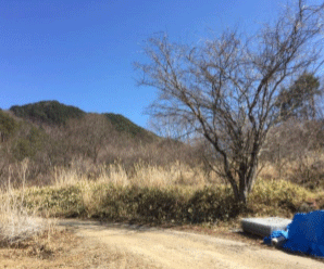 【27円】過積載87.17kw カナディアン製 栃木県小山市土地付き分譲太陽光発電物件