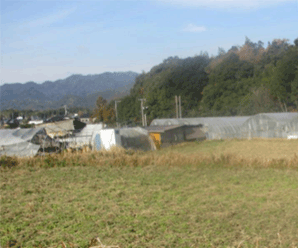【36円】低圧49.56kW ローン可能 利回り11%以上 大分県豊後大野市土地付き分譲太陽光発電物件