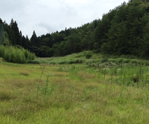 表面利回り12%以上|40円物件|300kw|3月連系|広島県土地付き分譲太陽光発電物件