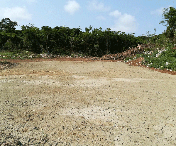 【32円】低圧56.0kw 1区画限定販売 千葉県香取市土地付き分譲太陽光発電物件