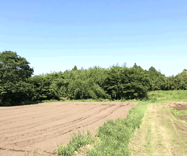 【36円】低圧49.56kW ローン可能 利回り11%以上 大分県豊後大野市土地付き分譲太陽光発電物件