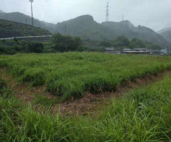 【21円】過積載92.34kW ローン可能 出力抑制なし 三重県 松阪市上仁柿_第1土地付き分譲太陽光発電物件