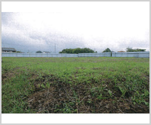 千葉県 LAND SOLAR 野里 49.5kW土地付き分譲太陽光発電物件