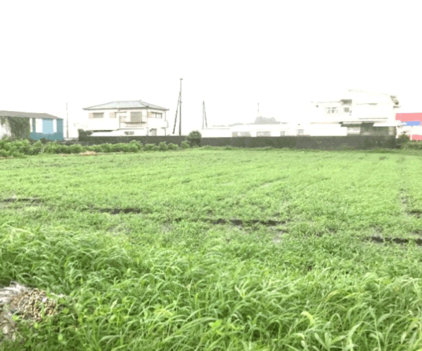 【36円】低圧63.28kW ローン可能 利回り11%以上 大分県豊後大野市土地付き分譲太陽光発電物件