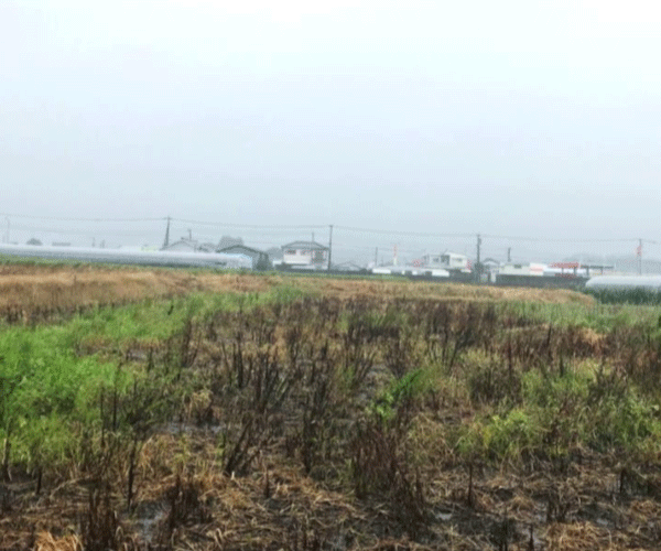 【36円】低圧63.28kW ローン可能 利回り11%以上 大分県豊後大野市土地付き分譲太陽光発電物件
