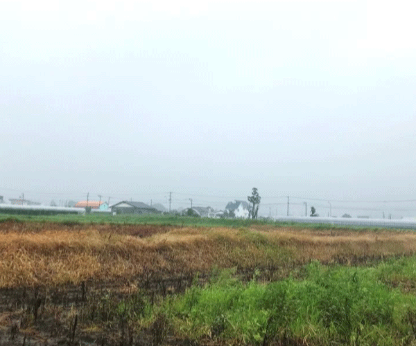 【36円】低圧63.28kW ローン可能 利回り11%以上 大分県豊後大野市土地付き分譲太陽光発電物件