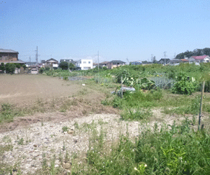 【27円】65.52kW 土地売買 千葉県北西部土地付き分譲太陽光発電物件