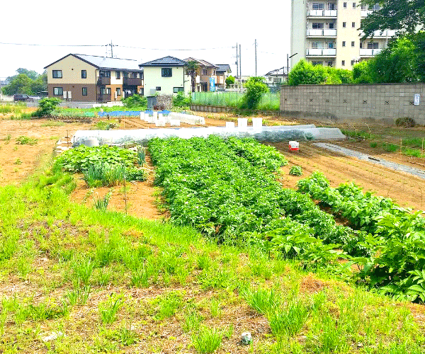 【24円】過積載70.78kw 国内パネル アプラス可能 千葉県長生郡土地付き分譲太陽光発電物件