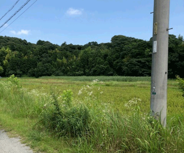 【21円】過積載99kW 出力制限なし フェンス込み 三重県鈴鹿市土地付き分譲太陽光発電物件