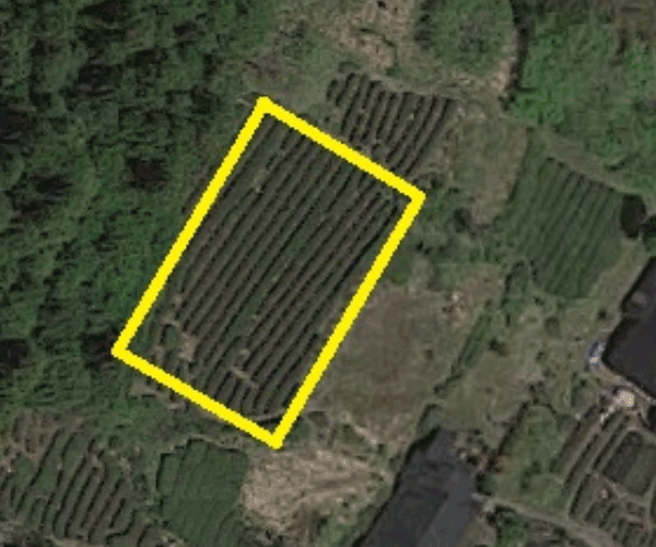 【18円】過積載98.82kW ローン可能 年収入約205万円 徳島県阿波市土地付き分譲太陽光発電物件