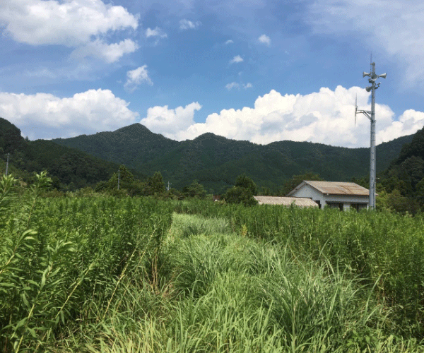 【21円】過積載82.08kW ローン可能 出力抑制なし 三重県桑名市桑名_第1土地付き分譲太陽光発電物件