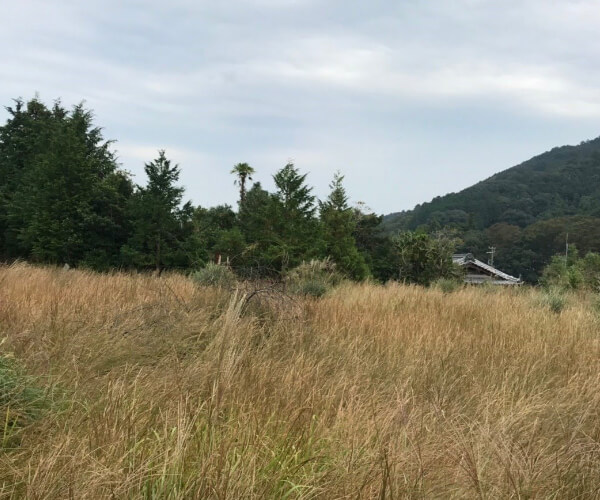 【21円】過積載82.08kW ローン可能 出力抑制なし 三重県桑名市桑名_第1土地付き分譲太陽光発電物件