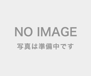 【40円・平成27年2月連係予定】 山梨県 1MW 土地付き分譲太陽光発電物件