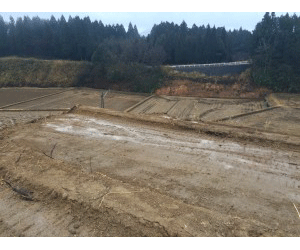 【負担金支払い済み】熊本県 63.75kW土地付き分譲太陽光発電物件