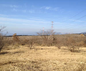 【36円】58.24kw 40区画販売 熊本県宇城市土地付き分譲太陽光発電物件