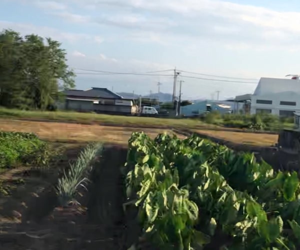【24円】過積載68.25kw イオン・アプラス可能 埼玉県秩父郡土地付き分譲太陽光発電物件