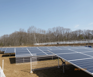 【3月引渡し連系】48.96kw 残り2区画 茨城県筑西市土地付き分譲太陽光発電物件