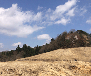 【売電中】屋根貸し案件 22.5kw 京都府京丹後市綱野町土地付き分譲太陽光発電物件