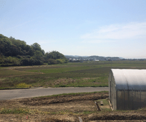 【売電中】屋根貸し案件 22.5kw 京都府京丹後市綱野町土地付き分譲太陽光発電物件