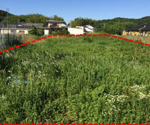 【32円】低圧50kw 1,887万円 宮崎県延岡市土地付き分譲太陽光発電物件