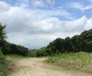 【売電中】屋根貸し案件 22.5kw 京都府京丹後市綱野町土地付き分譲太陽光発電物件