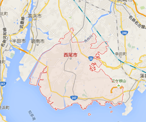 【40円・利回り10%以上】 栃木県 1.6MW土地付き分譲太陽光発電物件